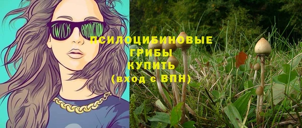 индика Россошь