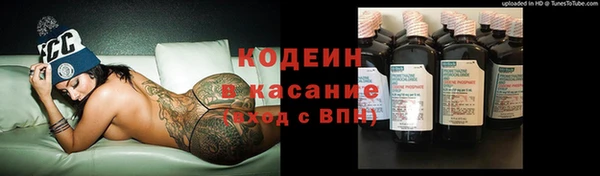 крисы Ростов