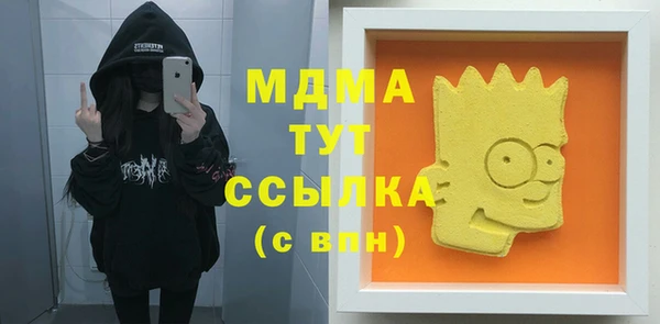 хмурый Арсеньев
