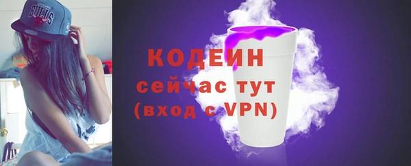хмурый Арсеньев
