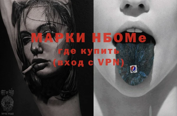 хмурый Арсеньев