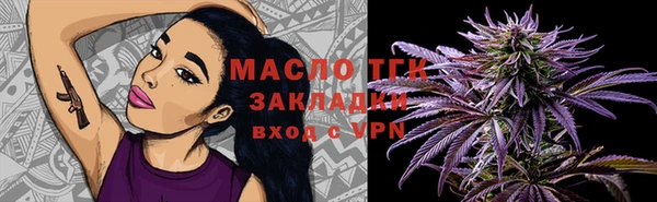хмурый Арсеньев