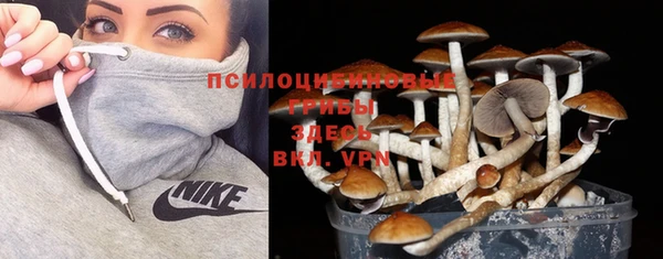хмурый Арсеньев