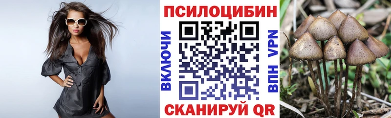 Псилоцибиновые грибы GOLDEN TEACHER Инза